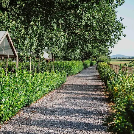 Big Berry Kolpa - Isabella Premium House * Gradac