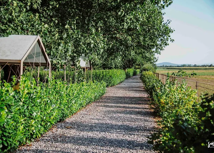 Big Berry Kolpa - Isabella Premium House * Gradac